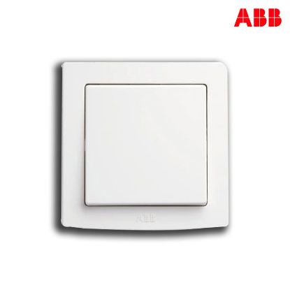 Picture of ABB Concept BS Range Switch & Sockets AC105 Special– China (Original)